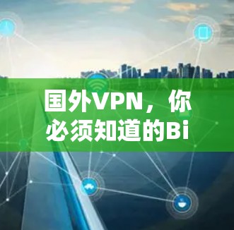 国外VPN，你必须知道的Bilbi的真实情况