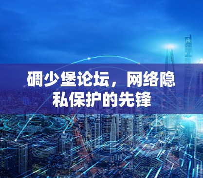 碉少堡论坛，网络隐私保护的先锋